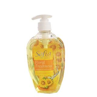 Gel Rửa Tay Diệt Khuẩn 250ml Sofia