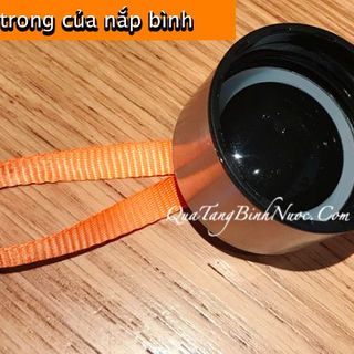Bình Nước Detox Nhựa Cao Cấp 650ml Q053