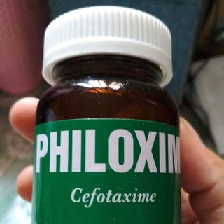 Philoxim 100g đặc trị các bệnh về gan đường ruột trên tôm cá và các loại thủy hải sản