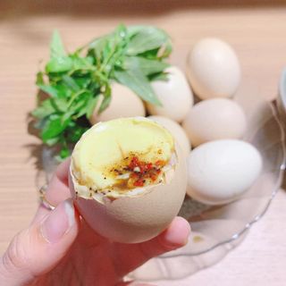 Trứng gà vữa