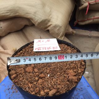 Túi bầu ươm cây bằng nhựa dẻo Bịch bầu cây 16x14 18x16 21x17 23x18