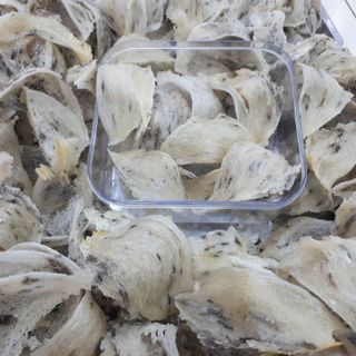 tổ yến thô nguyên chất nguyên tổ 100g - 11 đến 12 tổ