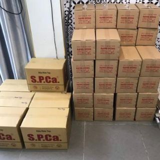 GEL RỬA TAY KHÔ SPCA KHÁNG/DIỆT KHUẨN 9999