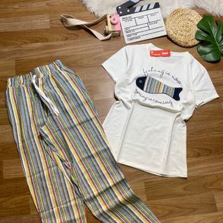 Bộ coton 100 co giãn 234
