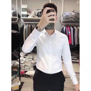 Áo sơ mi nam Slim Fit trơn màu thời trang giá sỉ