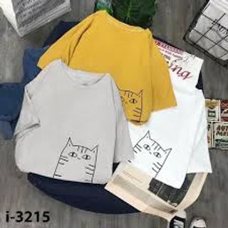 SỈ ÁO THUN IN NHIỆT GIÁ CHỈ 2X FORM SIÊU TO KHỔNG LỒ 70KG NAM NỮ