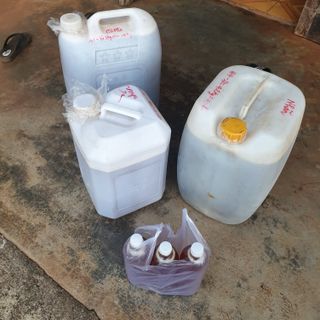Mật ong nguyên chất giá sỉ Cordibee
