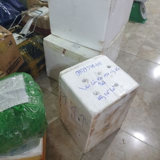 Mật ong nguyên chất giá sỉ Cordibee