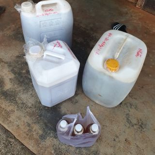 Mật ong nguyên chất giá sỉ Cordibee