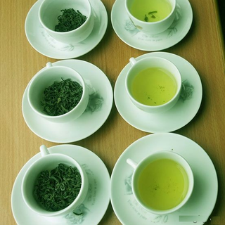 Trà Thái Nguyên - Tân Cương - Giá SỉLẻ Chè Búp Chè Nõn