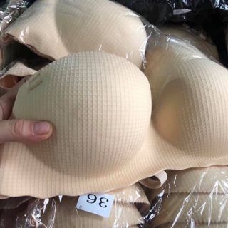 Áo lót đúc đệm vừa