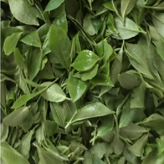 Trà Thái Nguyên - Tân Cương - Giá SỉLẻ Chè Búp Chè Nõn