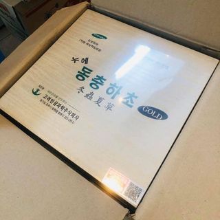 Đông trùng hạ thảo korea