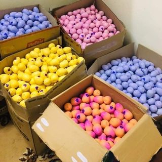 Trứng Hatchimals đồ chơi giải trí cho bé