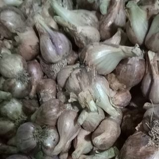 Hành Hương nông sản Bình Định