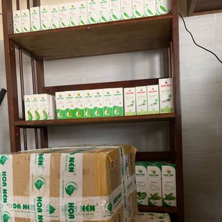 Tinh dầu tràm Huế