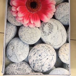 Thảm lau chân 3d