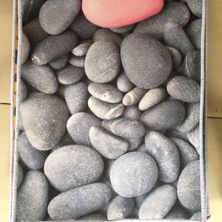 Thảm lau chân 3d