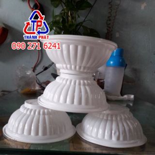 50 Chén màu trắng sữa đựng chè - Chén PP Sữa nhỏ - Chén nhựa nhỏ đựng chè đựng thức ăn