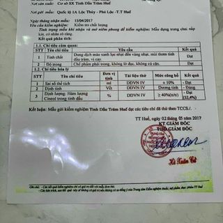 Tinh Dầu Tràm Huế