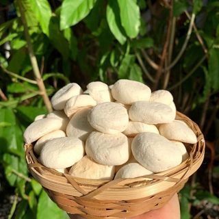 Bánh Bao Sữa Tuổi Thơ