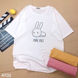 SỈ ÁO THUN CHỈ TỪ 2X