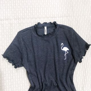 Đầm body Flamingo