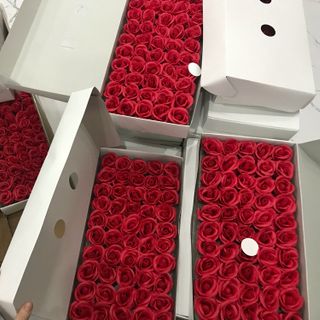 Hoa sáp 4 lớp do mùa dịch giá hoa tăng cao hiện 128k/h