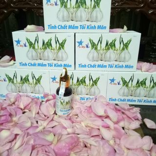 TINH CHẤT MẦM TỎI -