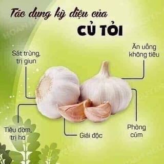 TINH CHẤT MẦM TỎI -
