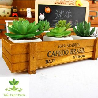 Chậu cây gỗ cổ điển - phong cách