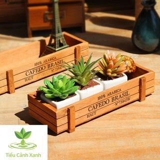 Chậu cây gỗ cổ điển - phong cách