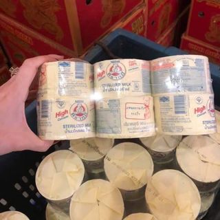 SỮA GẤU NESTLE THÁI LAN