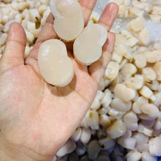 Cồi Sò Mai
