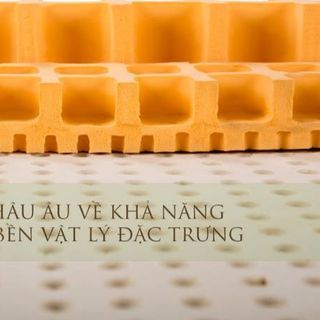 Tìm đại lý phân phối Nệm cao su Vạn Thành - chiết khấu đến 30%