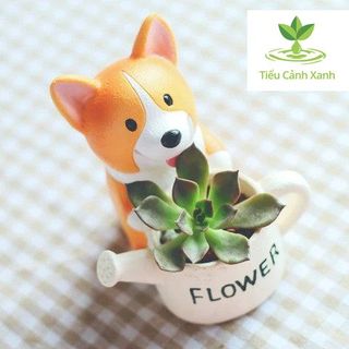 Chậu cây Corgi Tưới Cây Siêu Dễ Thương