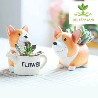 Chậu cây Corgi Tưới Cây Siêu Dễ Thương