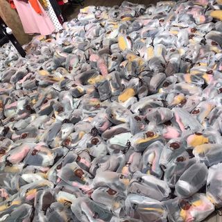 Sét 10 vớ Gấu giá sỉ giá bán buôn