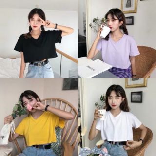 Áo croptop trơn cổ tim giá sỉ