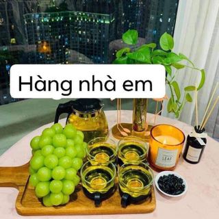 Bộ Bình Lọc Trà Thủy Tinh giá sỉ