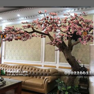 Cây hoa mộc lan giả