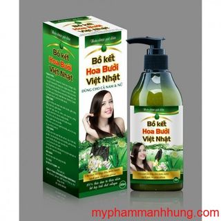 Dầu gội hoa bưởi bồ kết sả chanh Daichiso Việt Nhật 300ml giá sỉ