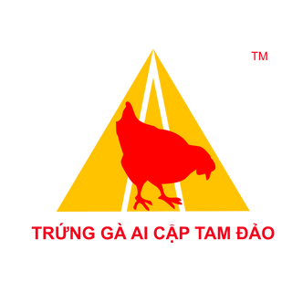 CHUYÊN CUNG CÂP TRỨNG GÀ AI CẬP GIÁ SĨ TẠI HÀ NỘI