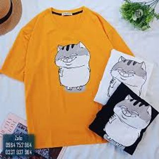 ÁO THUN IN NHIỆT FORM BƯ 70K NAM NỮ ĐỀU MẶC ĐƯỢC