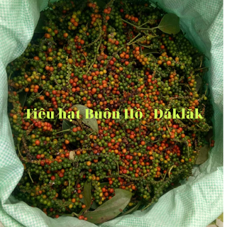 TIÊU HẠT SẠCH BUÔN HỒ - ĐĂKLĂK