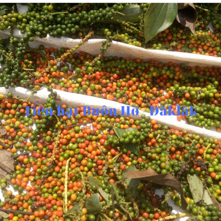 TIÊU HẠT SẠCH BUÔN HỒ - ĐĂKLĂK