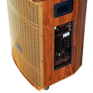 LOA KÉO ALO99 4 TẤC GỖ TP100