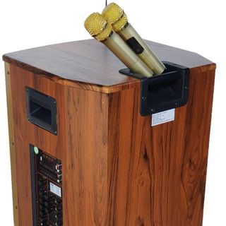 LOA KÉO ALO99 4 TẤC GỖ TP100