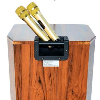 LOA KÉO ALO99 4 TẤC GỖ TP100