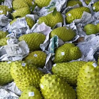 Trà Mãng Cầu Xiêm Tam Nguyên Hộp Vàng